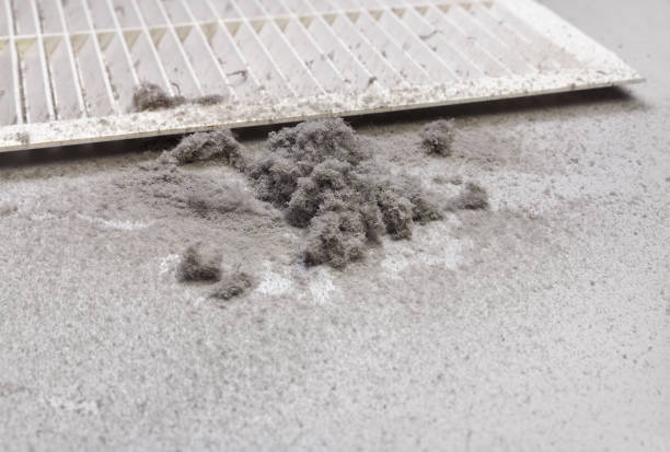 Best Affordable Air Duct Cleaning  in Carthage, TX